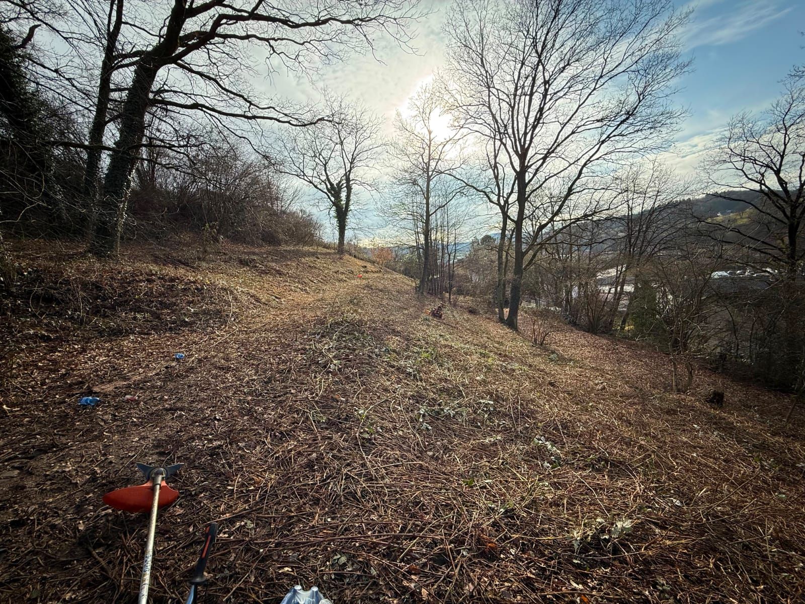 Freigeschnittener Hang mit Blick ins Tal nach einer Rodung im Odenwald