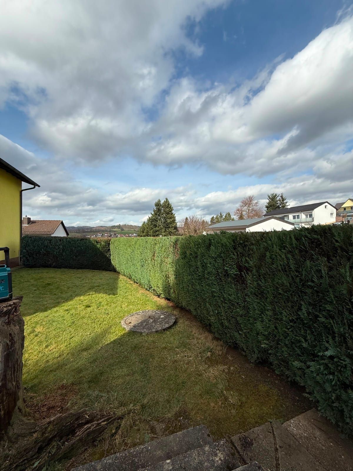 Gepflegte Rasenfläche mit frisch in Form geschnittener Hecke am Rand eines Hausgartens