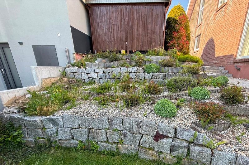 Vorher: terrassierter Steingarten am Hang mit verunkrautetem hellem Kies zwischen den Natursteinmauern
